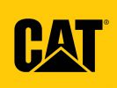 Хардпостер «Cat»